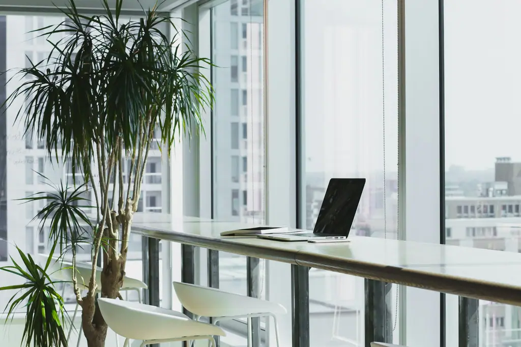 A bright, modern workspace with floor-to-ceiling windows and plants